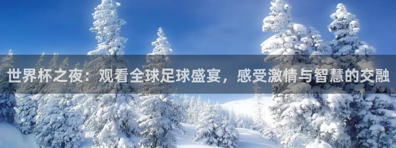 2026世界杯日期：世界杯之夜：观看全球足球盛宴，感受激情与智慧的交融