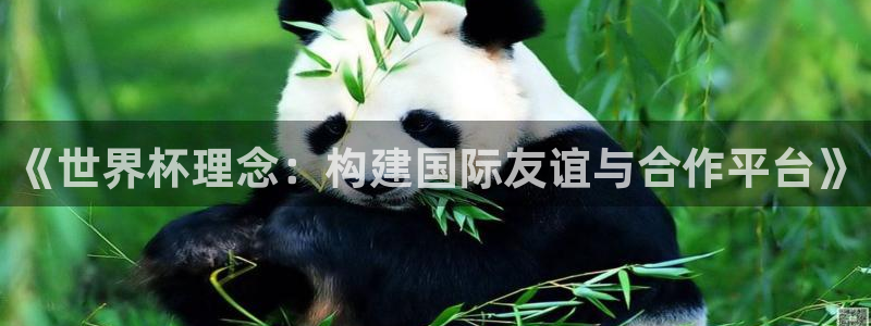欧洲世界杯预选赛：《世界杯理念：构建国际友谊与合作平台》