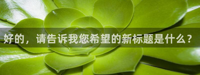 2026世界杯足球赛程时间表：好的，请告诉我您希望的新标题是什么？