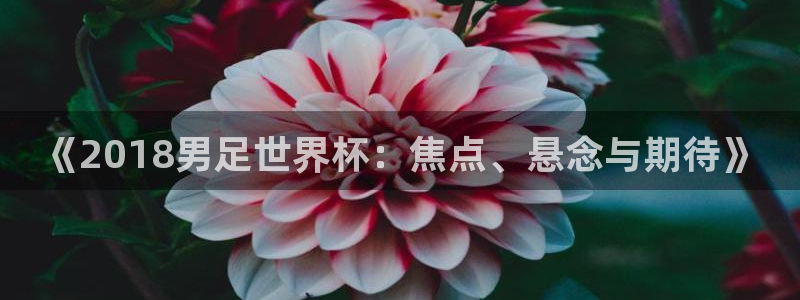 世界杯在线直播入口：《2018男足世界杯：焦点、悬念与期待》