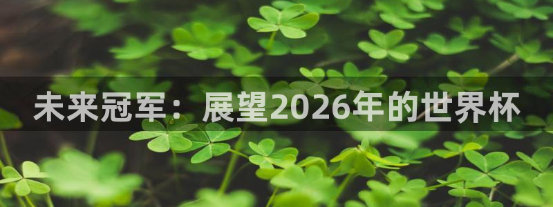 世界杯亚洲区预选赛积分榜：未来冠军：展望2026年的世界杯
