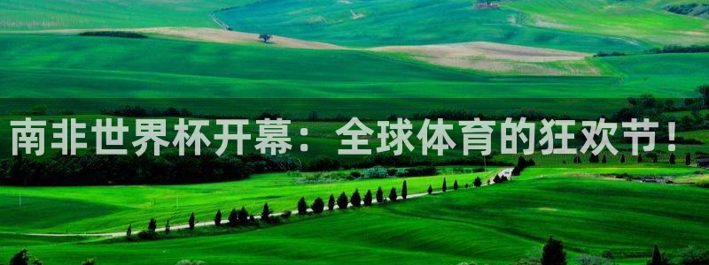 2026世界杯官网入口：南非世界杯开幕：全球体育的狂欢节！