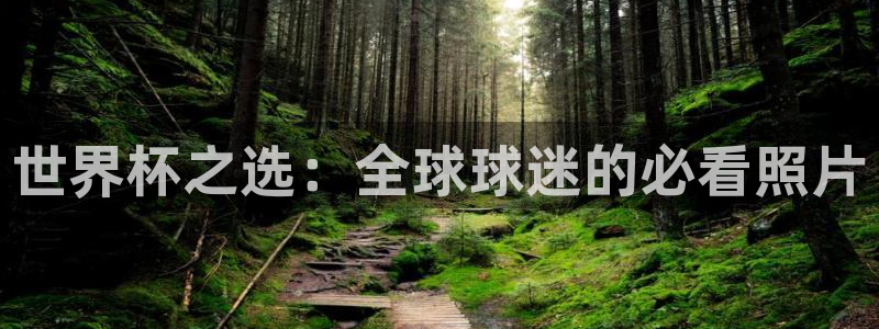 2026世界杯直播：世界杯之选：全球球迷的必看照片