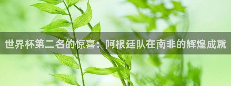 世界杯 中国：世界杯第二名的惊喜：阿根廷队在南非的辉煌成就