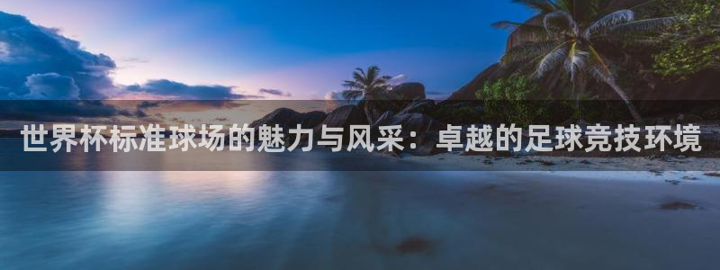 世界杯2026预选赛：世界杯标准球场的魅力与风采：卓越的足球竞技环境
