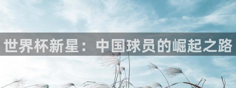 世界杯直播：世界杯新星：中国球员的崛起之路