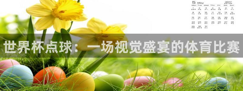 英格兰联赛杯直播：世界杯点球：一场视觉盛宴的体育比赛